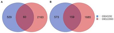 Bioinformatic identification of potential biomarkers and therapeutic targets in carotid atherosclerosis and vascular dementia